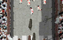 Bullfight