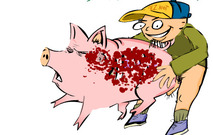Torture-game-with-a-pig-a-victim-of-rape