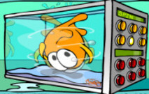 Torture-your-fish