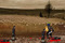 Strelska-igra-z-zombija-na-polju